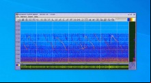 Sonogram Visible Speech