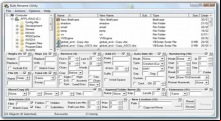 Bulk Rename Utility